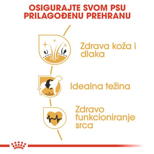 ROYAL CANIN BHN Cocker Adult, potpuna hrana specijalno prilagođena potrebama odraslih i starijih engleskih i američkih koker španijela, 3 kg slika 6