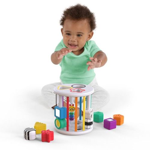 Kids II Baby Einstein Igracka Sorter Zen & Cal’S Plyground 12493 slika 4