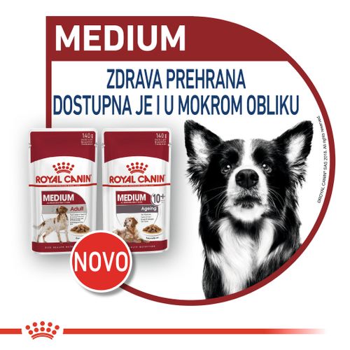 ROYAL CANIN SHN Medium adult vrećice za pse, potpuna hrana za odrasle pse srednje velikih pasmina (od 11 do 25 kg), od 12 mjeseci do 10 godina starosti, 10x140 g slika 3