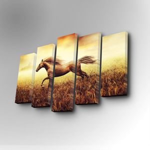 5PUC-013 Multicolor Decorative Canvas Painting (5 Pieces)