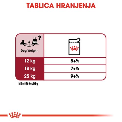 ROYAL CANIN SHN Medium ageing 10+ vrećice za pse, potpuna hrana za starije pse srednje velikih pasmina (od 11 do 25 kg), stariji od 10 godina, 10x140 g slika 5