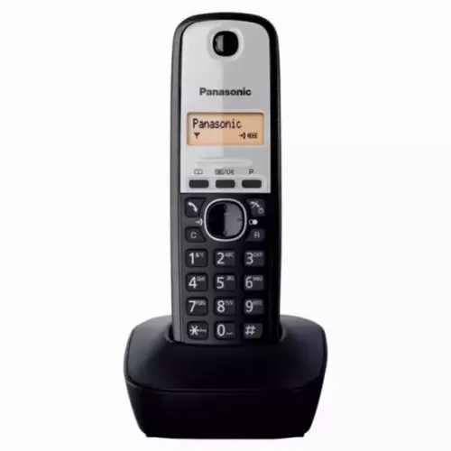 Bežični telefon Panasonic KX-TG1911 FXG slika 1