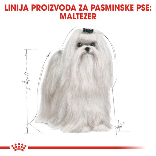 ROYAL CANIN BHN Maltese Adult, potpuna hrana specijalno prilagođena potrebama odraslih i starijih pasa pasmine maltezer, 500 g slika 4