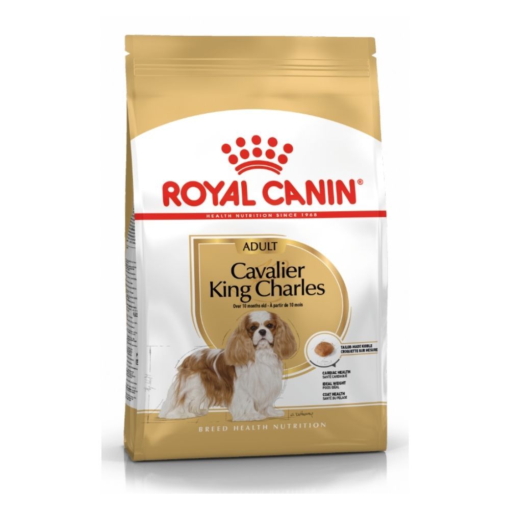 RCD Cavalier King Charles 3 kg slika 1
