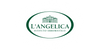 L'Angelica Limited Edition Supreme Care Biševo - Cotton&White Musk