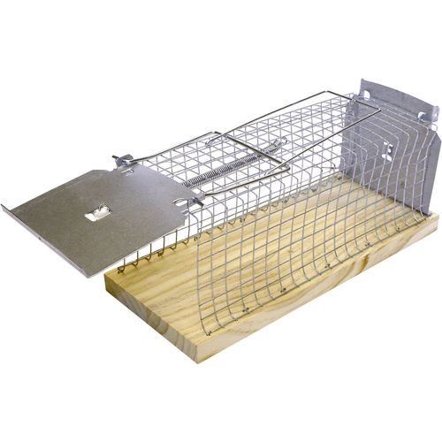 Swissinno Rat Classic kavez za miševe humana zamka   1 St. slika 4
