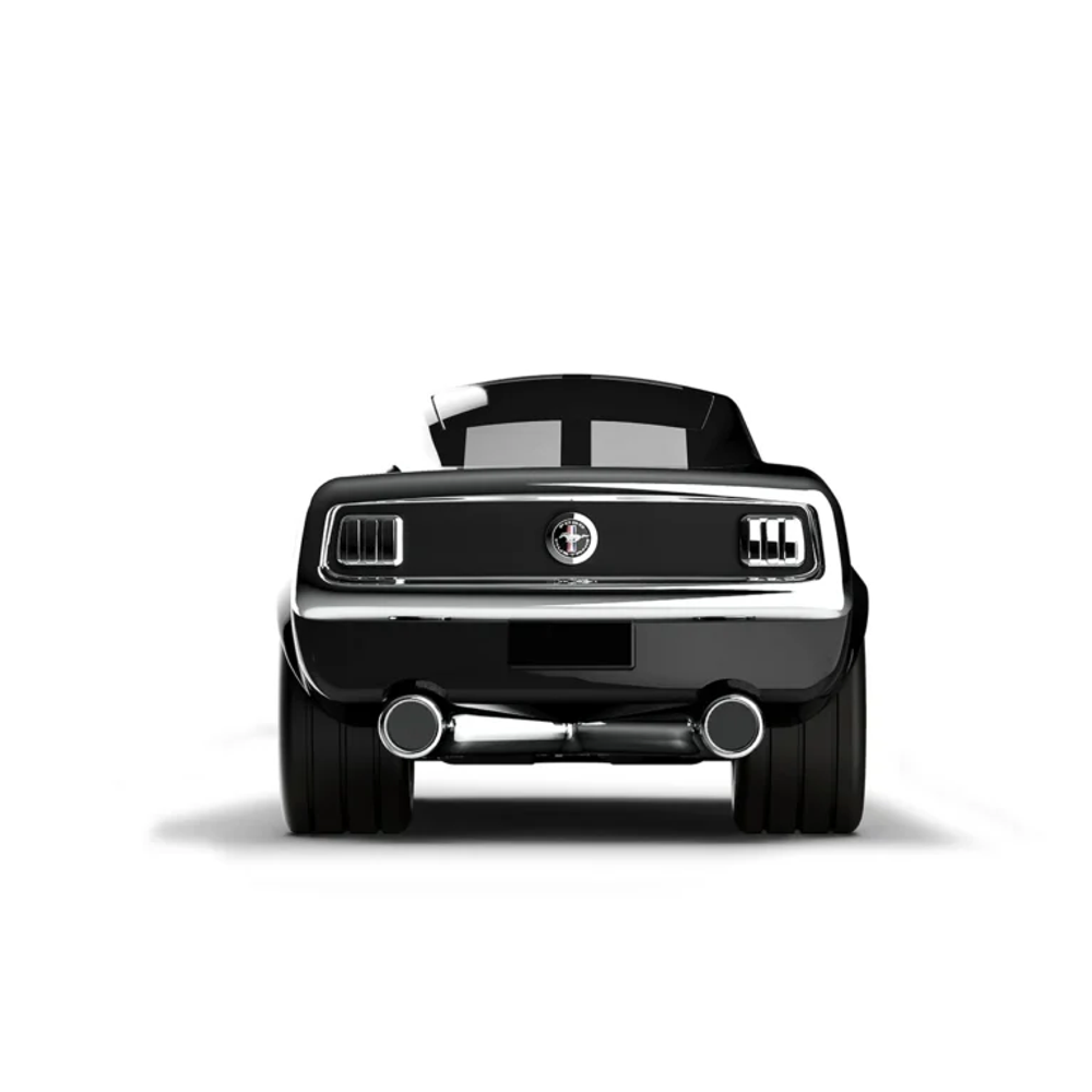 Baghera Autić Ford Mustang, Noire slika 4
