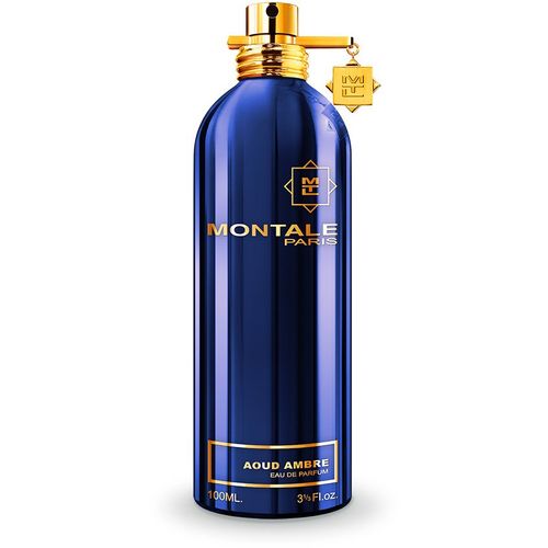 Montale Paris Aoud Ambre EDP 100 ml  slika 1