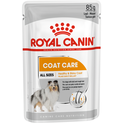 Royal Canin CCN Coat Care Loaf, potpuna hrana za odrasle pse, 12x85 g slika 1