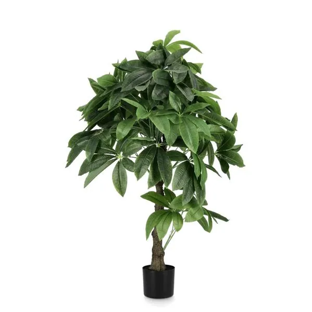 Bizzotto Cvijeće Pachira 120 cm u saksiji 0172861 slika 1