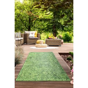 Grass  Multicolor Carpet (160 x 230)