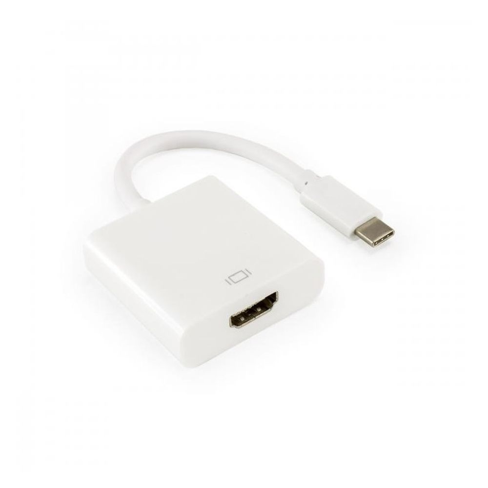 SBOX Adapter HDMI Ženski - TYPE C Muški slika 1