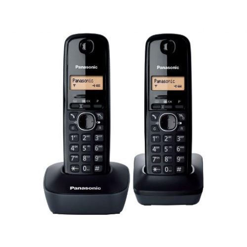 PANASONIC KX-TG1612FXH - Bežični telefon s dvije slušalice slika 1