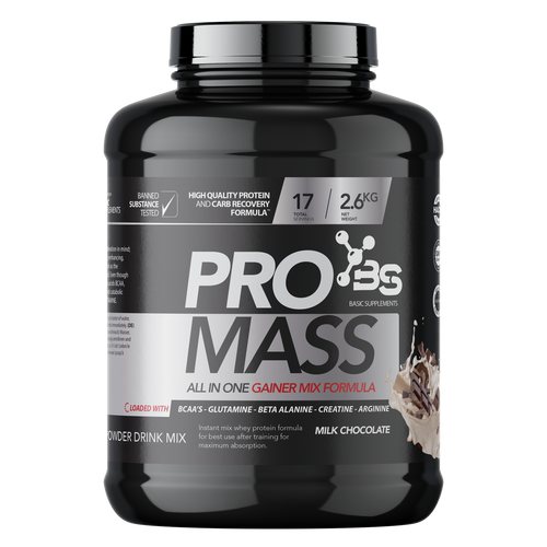  Basic Supplements Pro Mass / 2600Gr slika 2