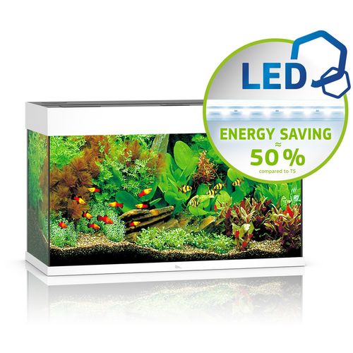 JUWEL Rio 125 LED Akvarij Bijeli, 81 x 36 x 50 cm, 125 litara slika 1