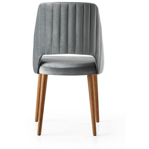 Açelya - Grey - 1 Grey Chair Set (4 Pieces) slika 3