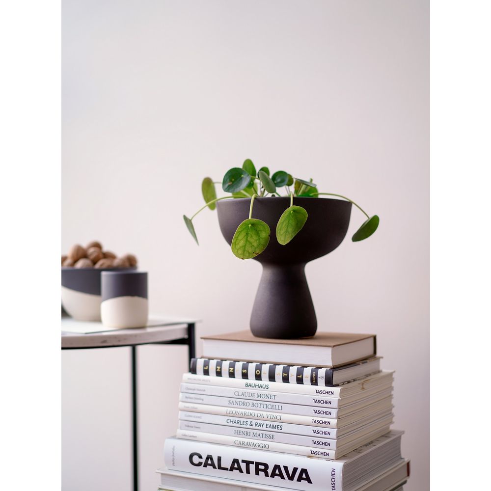 BSI232 Anthracite Vase slika 1