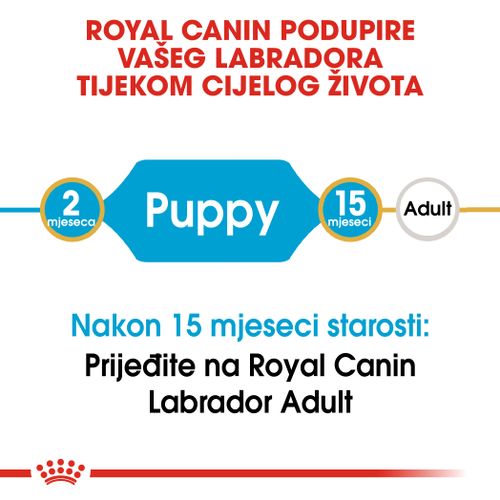 ROYAL CANIN BHN Labrador Retriever Puppy, potpuna hrana za štenad labrador retrievera do 15 mjeseci starosti, 12 kg slika 8