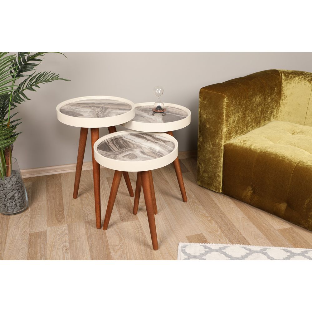 Neep White
Walnut
Grey Nesting Table (3 Pieces) slika 1