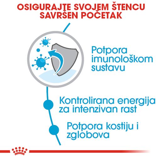 ROYAL CANIN SHN Giant PUPPY, potpuna hrana za pse, specijalno za štence divovskih pasmina (konačne težine > 45 kg)  do 8 mjeseci starosti, 3,5 kg slika 6