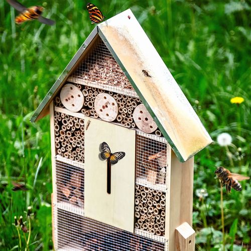 Blumfeldt Kuća za insekte slika 4