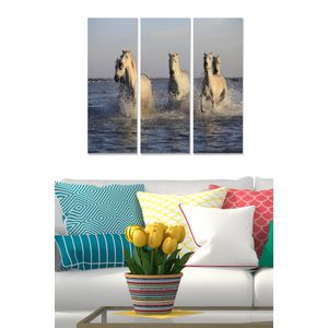 Dekorativna Slika od MDF-a MDF1401707 u Više Boja (Set od 3 Komada)