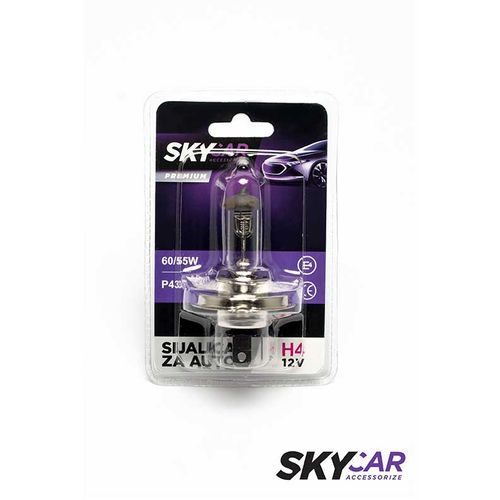 SkyCar Sijalica set H4 12V 60/55W P43T E4 slika 1