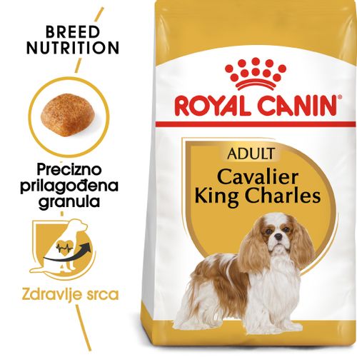 ROYAL CANIN BHN Cavalier King Charles Adult, potpuna hrana specijalno prilagođena potreba ma odraslih i starijih kavalira kralja Charlesa, 3 kg slika 4