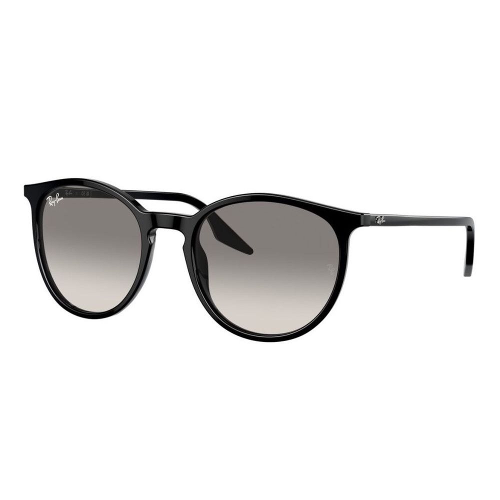 Unisex Sunčane naočale Ray Ban RB2204 Black slika 1