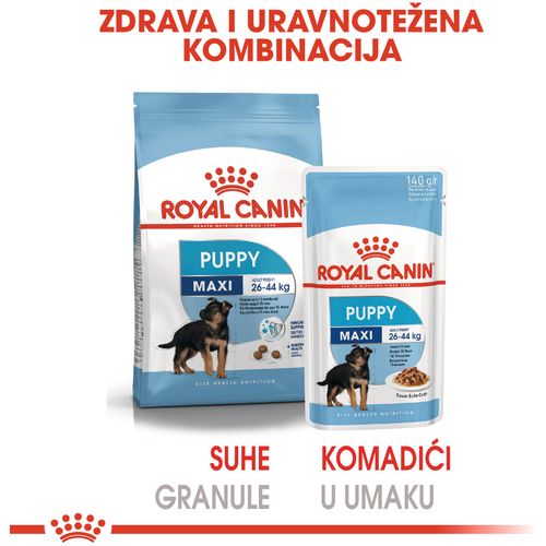 ROYAL CANIN SHN Maxi PUPPY vrećice za pse, potpuna hrana za pse, specijalno za štence velikih pasmina (konačne težine od 26 do 44 kg), do 15 mjeseci starosti, 10x140 g slika 2
