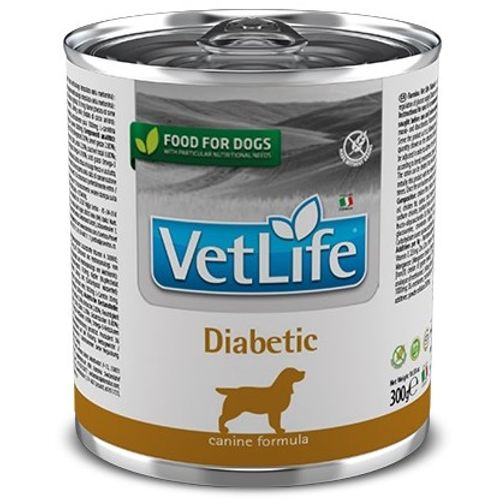 Vet Life Dog Diabetic 300 g slika 1