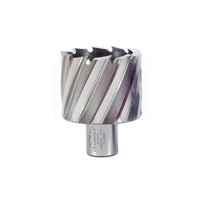 Rotabroach kruna za magnetnu bušilicu RAPL600 (60 mm)