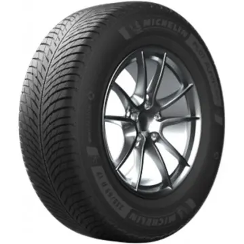 MICHELIN Zimska guma 255/50R19 107V XL TL Pilot Alpin 5 SUV MI slika 2