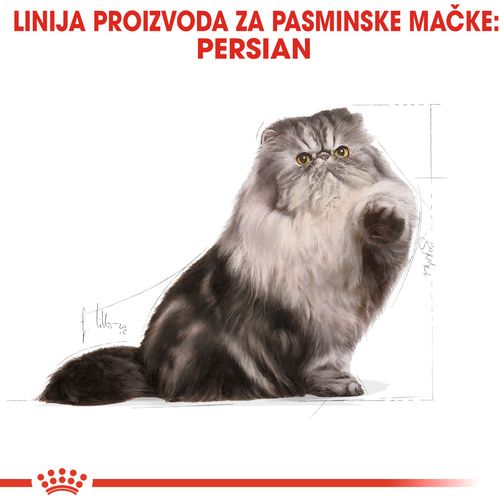 ROYAL CANIN FBN Persian, potpuna i uravnotežena hrana za mačke, specijalno za odrasle perzijske mačke starije od 12 mjeseci, 400 g slika 5