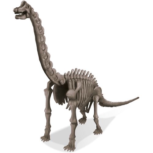 Dinosaur Brachiosaur slika 2
