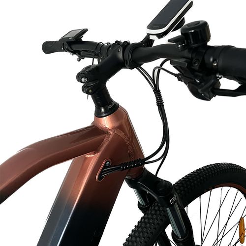 Xplorer E-bike MTB KILIMAJARO 29" R19.5 slika 7