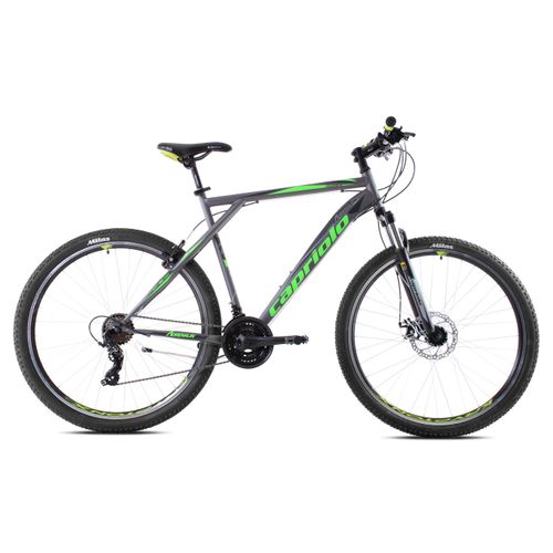 CAPRIOLO bicikl MTB ADRENALIN 29 silver green slika 2