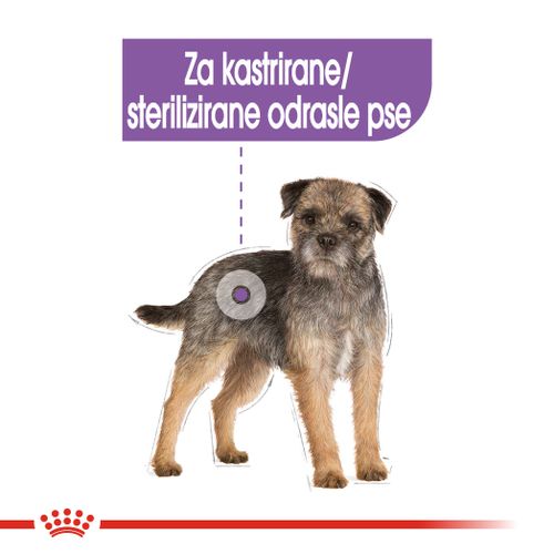 Royal Canin CCN Sterilised Loaf, potpuna hrana za odrasle pse, 12x85 g slika 5