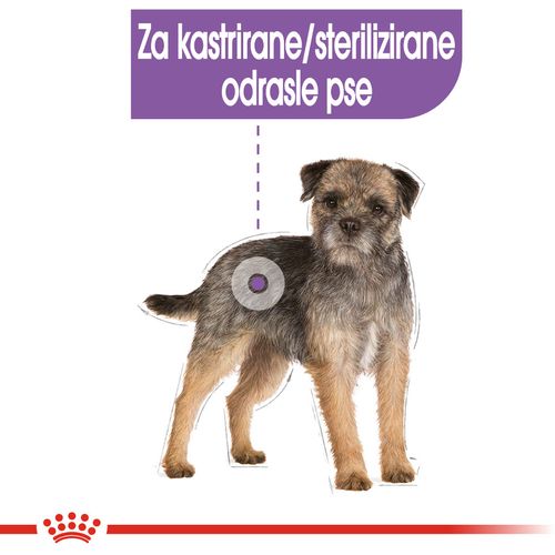 ROYAL CANIN CCN Mini Sterilised, potpuna hrana za pse - Za kastrirane/sterilizirane odrasle pse malih pasmina (od 1 do 10 kg) - Stariji od 10 mjeseci - Psi skloni prekomjernoj tjelesnoj težini, 1 kg slika 7