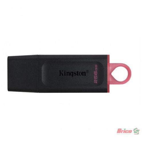 Kingston DTX/256GB 256GB USB Flash Drive, USB 3.2 Gen.1, DataTraveler Exodia slika 1
