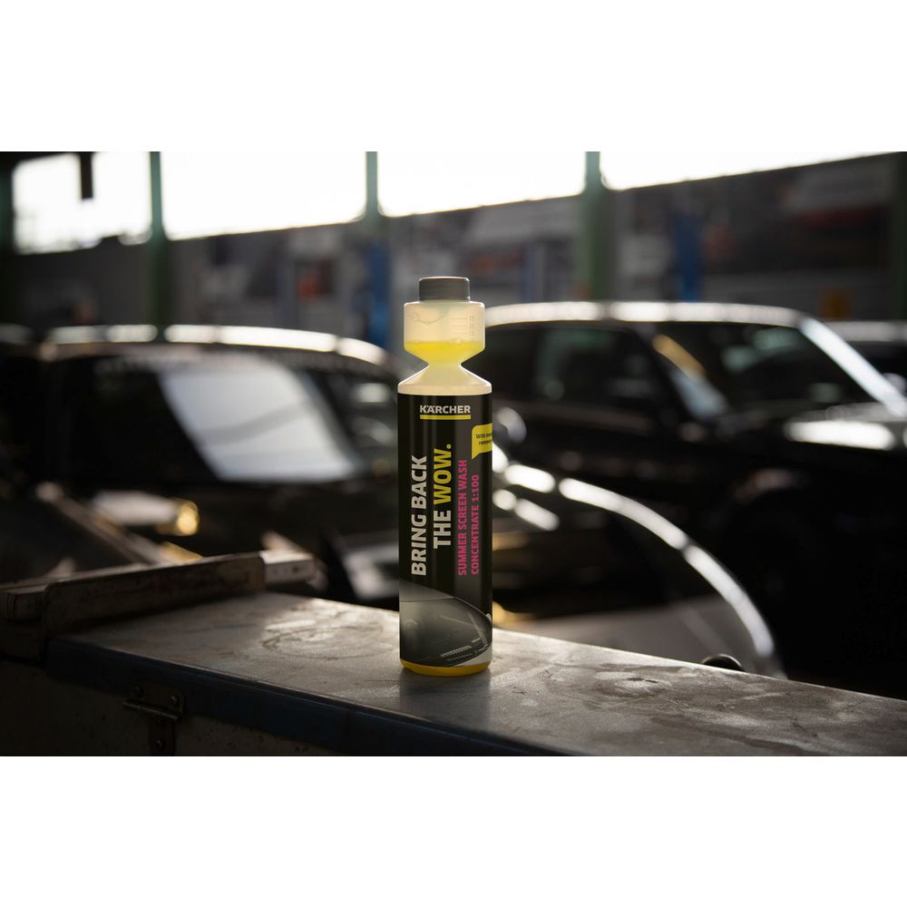 KARCHER Koncentrovano sredstvo za čišćenje vjetrobrana RM 672 1:100 250ml 6.296.110.0 slika 2