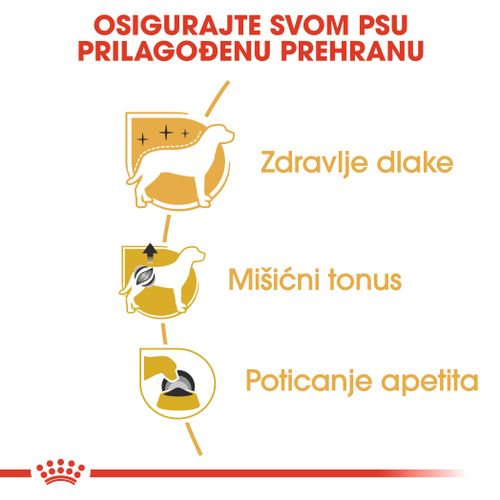 ROYAL CANIN BHN Poodle Adult, potpuna hrana za odrasle pudle starije od 10 mjeseci, 12x85 g slika 5