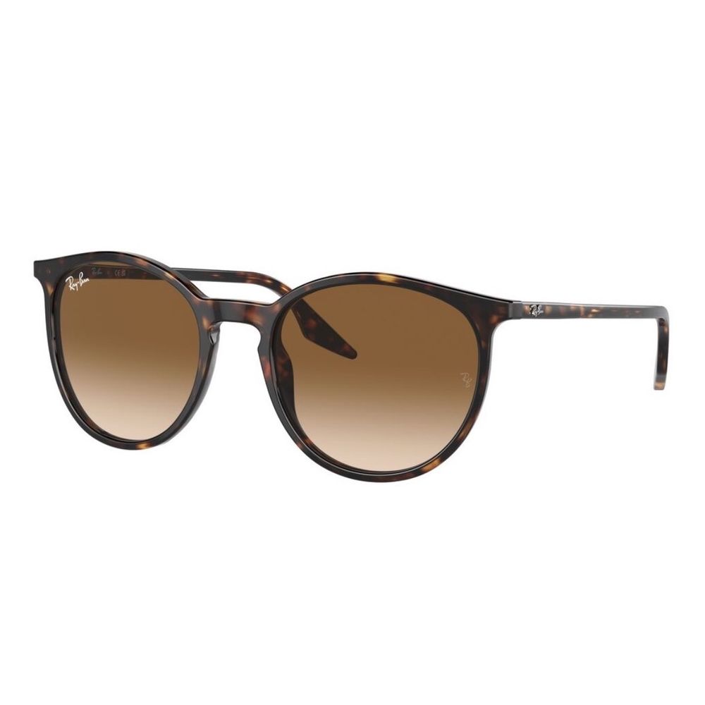 Unisex Sunčane naočale Ray Ban RB2204 Tortoise slika 1