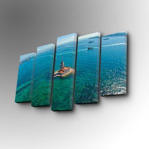 5PUC-089 Multicolor Decorative Canvas Painting (5 Pieces)