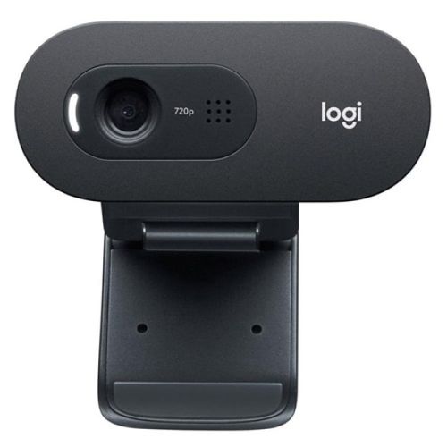 Web camera Logitech C505e 960-001372 slika 3