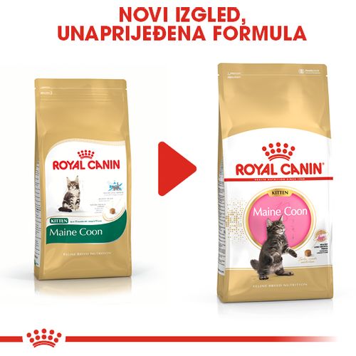 ROYAL CANIN FBN Maine Coon KITTEN, potpuna i uravnotežena hrana za mačke, specijalno za mačiće pasmine Maine Coon do 15 mjeseci starosti, 10 kg slika 2