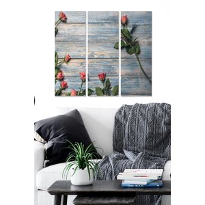 Dekorativna MDF Slika u Više Boja MDF100537 (Set od 3 Komada)
