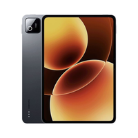 Xiaomi tablet Pad 8 Pro 8GB/256GB, Gray
