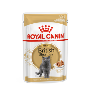 ROYAL CANIN FBN British Shorthair, potpuna i uravnotežena mokra hrana u umaku za odrasle mačke, specijalno za britanske krtkodlake mačke starije od 12 mjeseci, 12x85 g