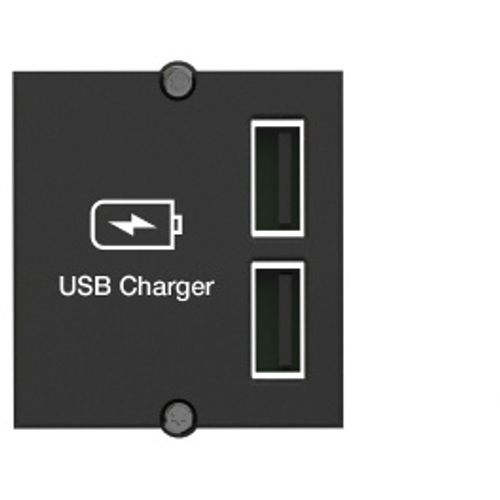Bachmann prilagođeni modul USB dvostruki punjač (917.224) slika 1